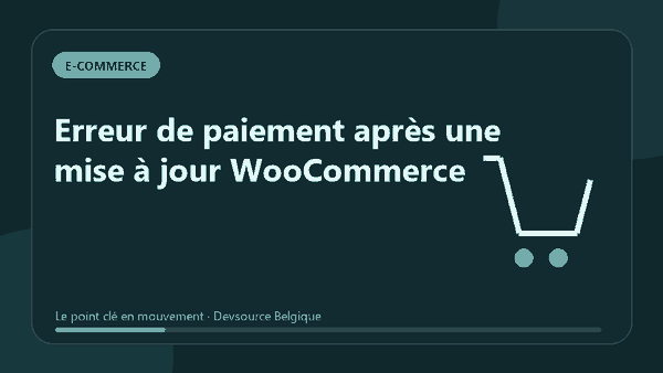 Animation : erreur de paiement après une mise à jour WooCommerce