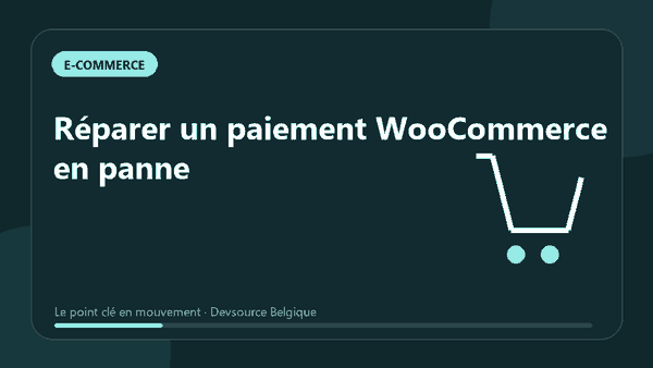 Animation : réparer un paiement WooCommerce en panne
