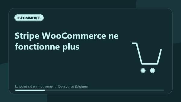 Animation : stripe WooCommerce ne fonctionne plus