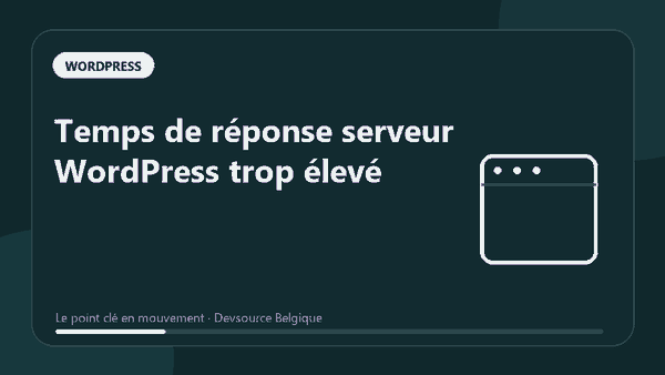 Animation : temps de réponse serveur WordPress trop élevé