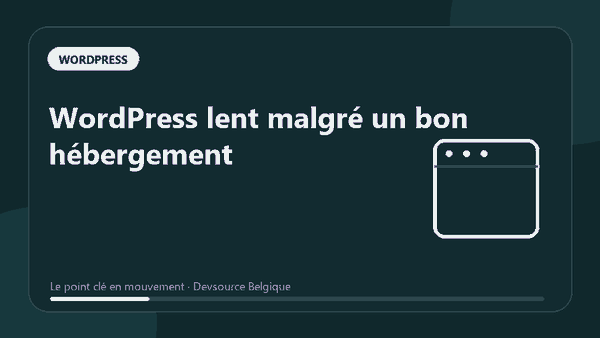 Animation : wordPress lent malgré un bon hébergement
