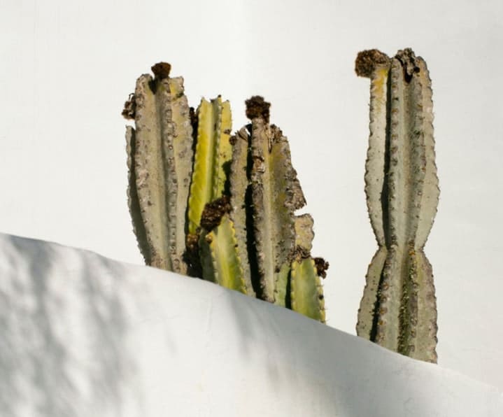 img 52 copyright | Devsource by Maxime GUINARD